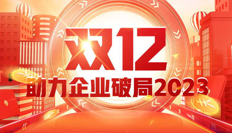 國人在線“雙十二”大促——助力企業(yè)破局2023